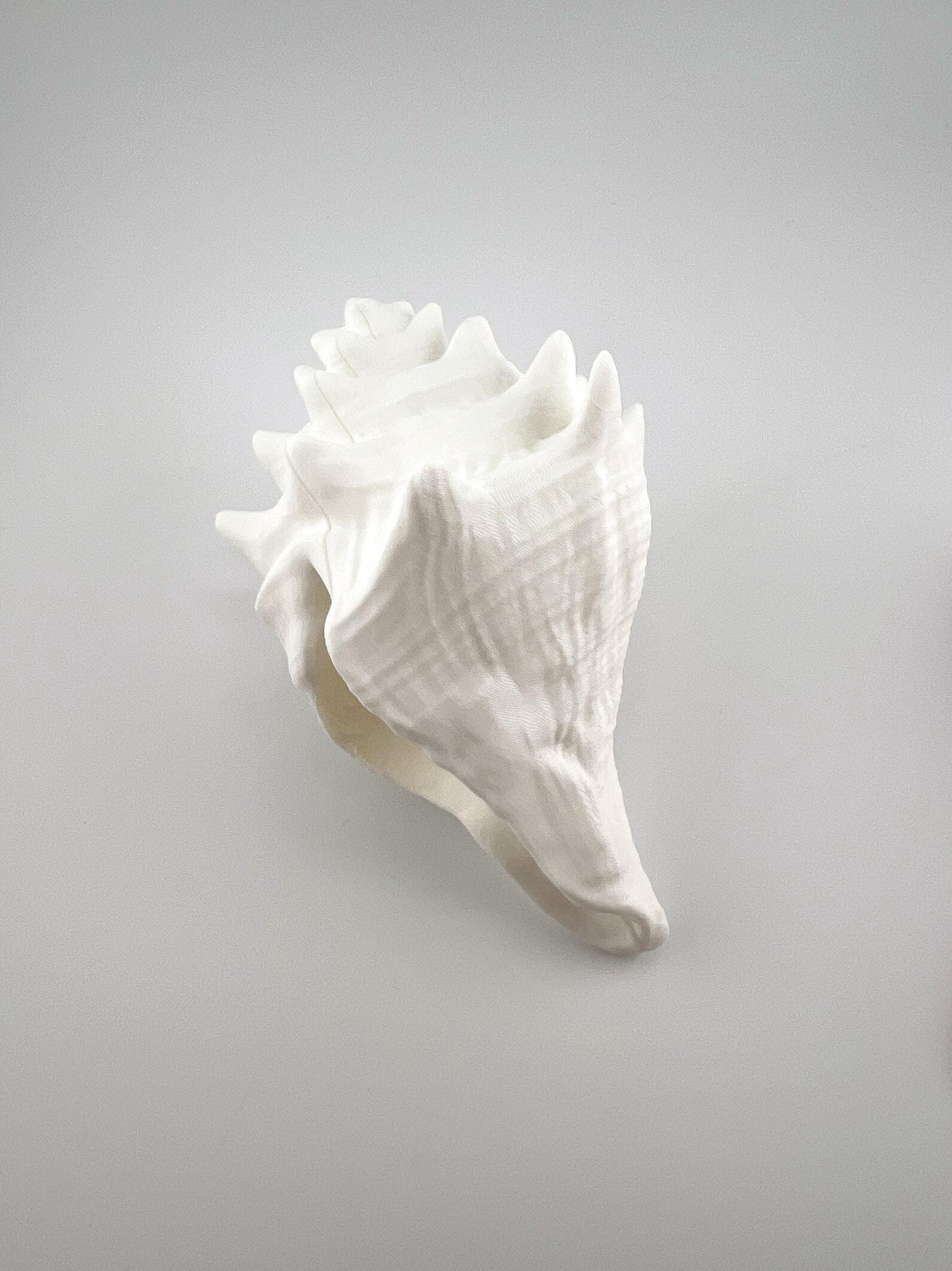 Adorable 3D Printed Squid and Shell, Articulated Playful Figures for Ocean Lovers, Great Gift for Kids and Collectors