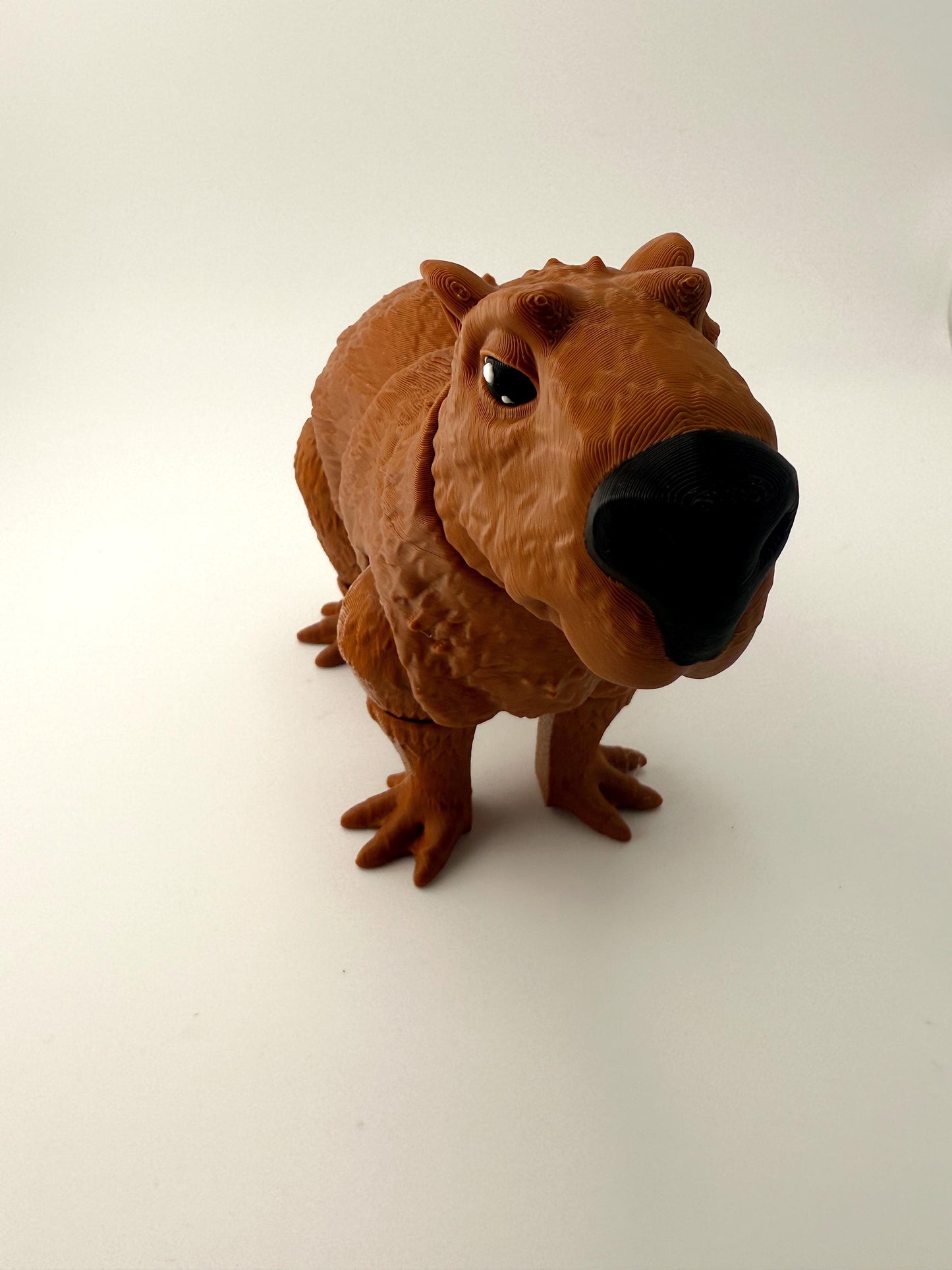 Capybara Fidget Toy